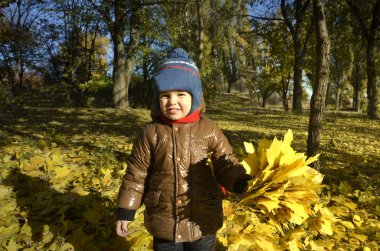 Mutlu çocuk açık havada bir buket Sonbaharın sarı yaprakları park eğlenceli oynuyor topladığı.