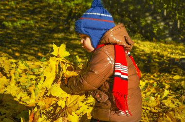 Mutlu çocuk açık havada bir buket Sonbaharın sarı yaprakları park eğlenceli oynuyor topladığı.