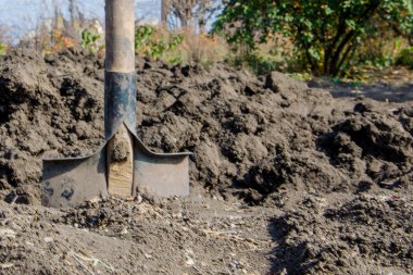 Kürek. Bahçıvan bitki ve patates dikim için toprak digs