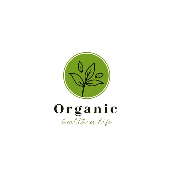Ekologiczne Ziołowe Liści Herbaty Logo Ikona Prostych Pędów Ilustracji — Wektor stockowy