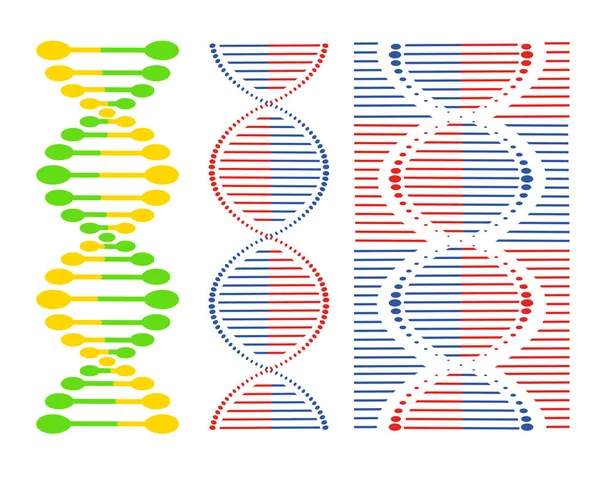 Dna Different Sets Spirals White Background Vector Elements Your Design — Stock Vector