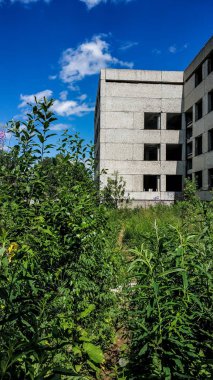 Güneşli bir yaz gününde terk edilmiş büyümüş beton ev. Camsız bina