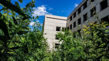 Güneşli bir yaz gününde terk edilmiş büyümüş beton ev. Camsız bina