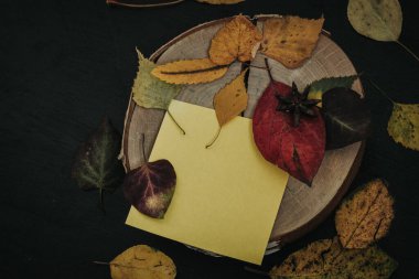 Karanlık bir arka planda sonbahar kompozisyonu, rahat bir atmosfer.