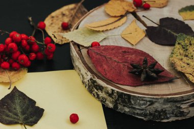 Karanlık bir arka planda sonbahar kompozisyonu, rahat bir atmosfer.