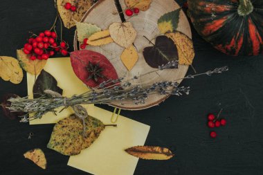 Karanlık bir arka planda sonbahar kompozisyonu, rahat bir atmosfer.