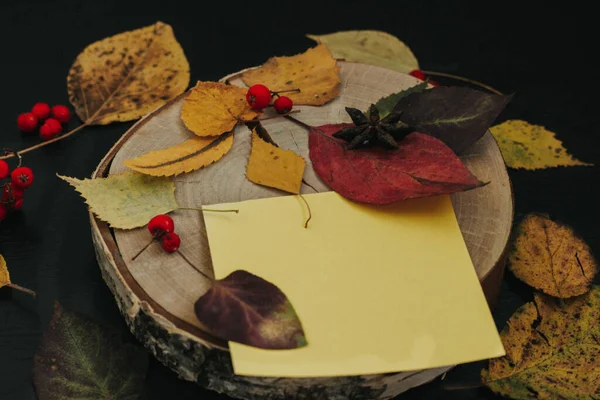 Karanlık bir arka planda sonbahar kompozisyonu, rahat bir atmosfer.