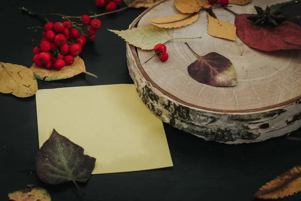 Karanlık bir arka planda sonbahar kompozisyonu, rahat bir atmosfer.