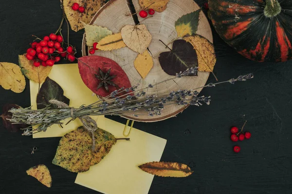 Karanlık bir arka planda sonbahar kompozisyonu, rahat bir atmosfer.