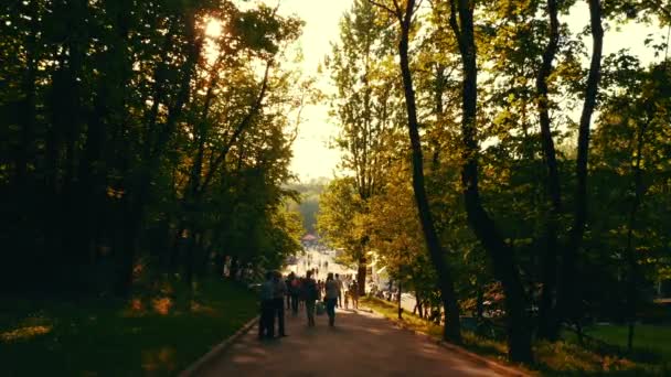 Promenade en famille dans le parc du soir avec attractions — Video