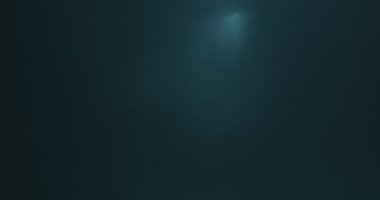 Su altı ışığı, güneş ışığından oluşan güzel bir örtü yaratır.