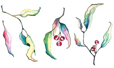 Dalları yaprakları ile. İzole beyaz arka plan üzerinde renkli yaprakları. Suluboya.