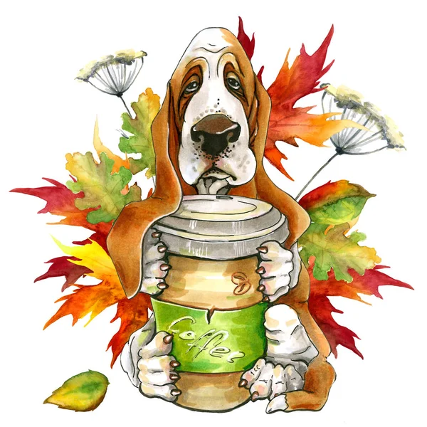 Pies rasy Basset Hund. trzymając szklankę herbaty. Jesienne liście. Słodkie szczeniak. — Zdjęcie stockowe