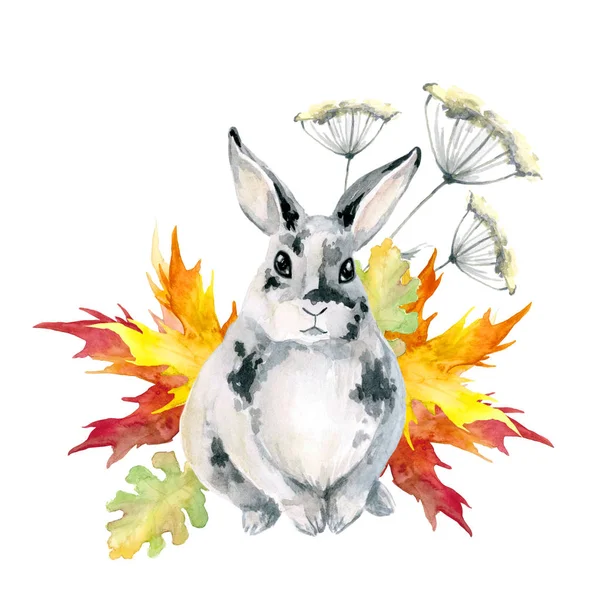 Сірий плямистий кролик, сидить. Осіннє листя кленове. Акварель — стокове фото