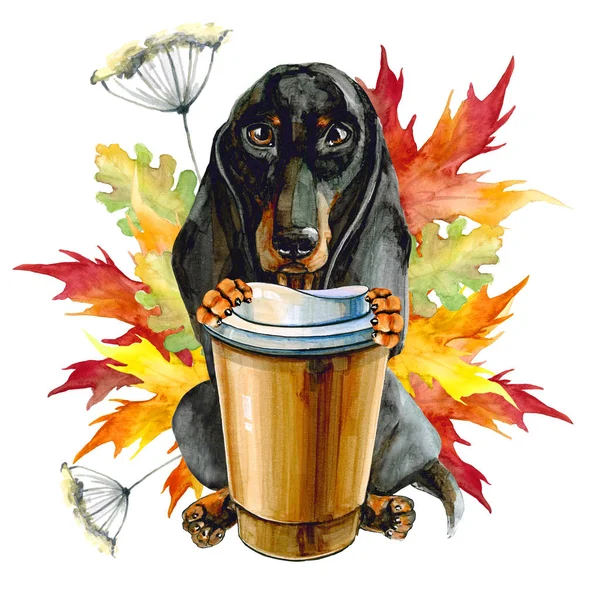Fotos de Bom dia cachorro, Imagens de Bom dia cachorro sem royalties | Depositphotos Fotos de Bom dia cachorro, Imagens de Bom dia cachorro sem royalties | Depositphotos