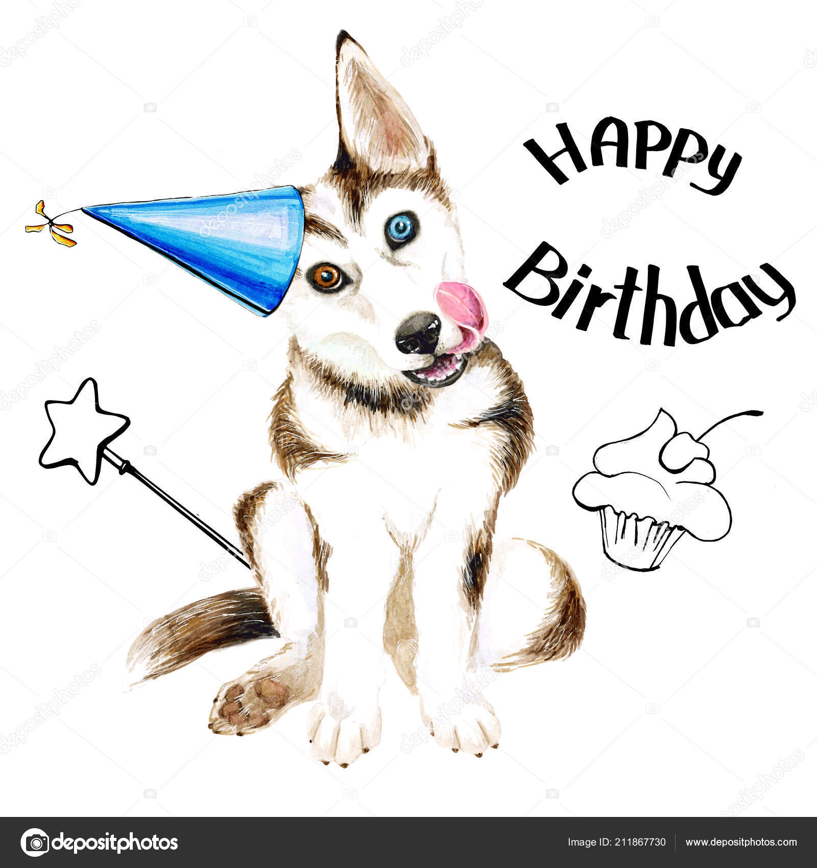 Hunden avler husky. Søt valp med blå øyne. Bursdag. Isolert på hvit  bakgrunn . – stockillustrasjon © katyazverek #211867730, image size:1600x1700