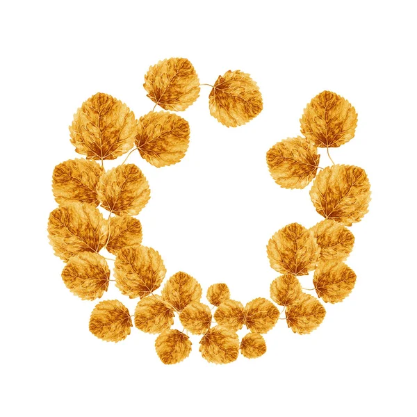 Sarı düşen yapraklar sonbaharda çelenk. Altın çerçeve izole