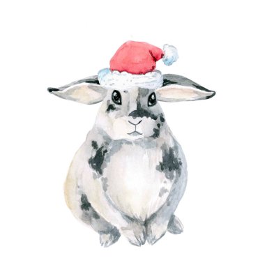 Gri Tavşan, otururken gördüm. Suluboya beyaz arka plan üzerinde izole. Noel, yeni yıl. santa kapağı