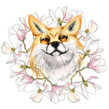 Manolya bir çelenk içinde tilki. Pembe çiçekler bir çerçeve içinde. Suluboya. Beyaz izole