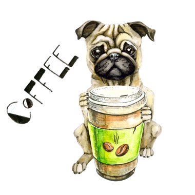 Bir bardak kahve beyaz arka plan üzerinde izole Pug doğurmak köpek. Şirin köpek yavrusu