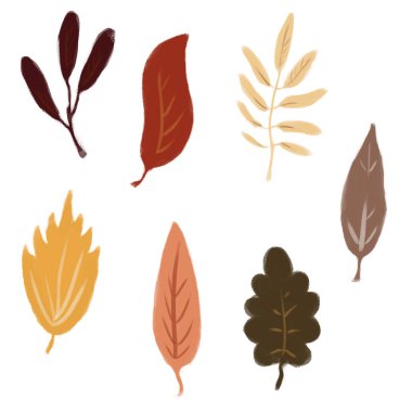 Sonbahar yaprakları beyaz arka plan üzerinde izole. sulak. yaprak Güz