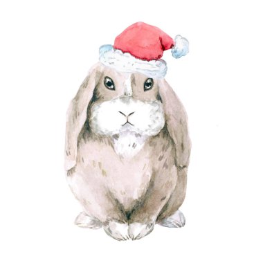 Santa Clais yeni yıl kap lop-eared kahverengi tavşan. . suluboya. Noel, yeni yıl