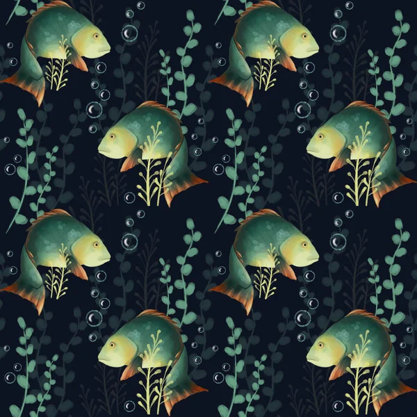 Seamless pattern with fish. Underwater world, crucian carp and algae on a dark background. carp — Stock Photo, Image