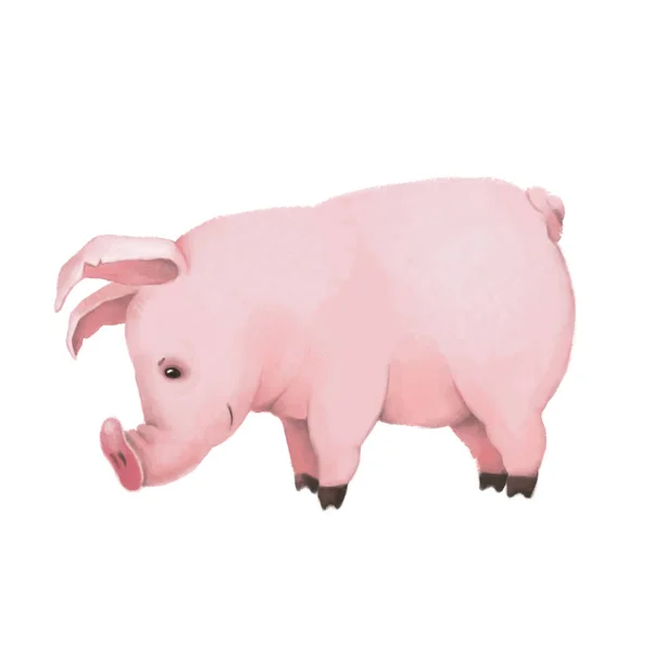 Милая маленькая розовая свинья на белом фоне. Он стоит и нюхает каблук. cgi. ферма — стоковое фото