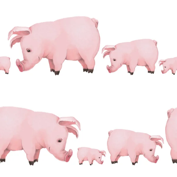 Vzor bezešvé s malou roztomilá prasátka na bílém pozadí. Pig rodina. symbol 2019 — Stock fotografie