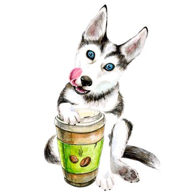 The Husky dog drinks coffee from a glass. cute puppy. Isolated on white background. clipart