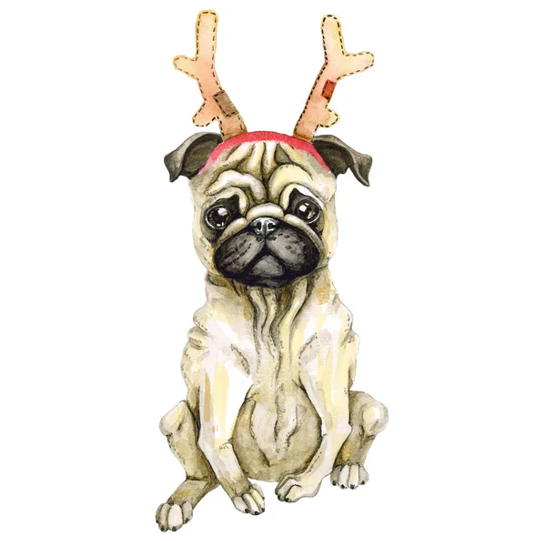 Pug dog celebra el año nuevo en el sombrero de santa claus. Cachorro de Navidad. Aislado sobre fondo blanco. Ciervo acuarela —  Fotos de Stock