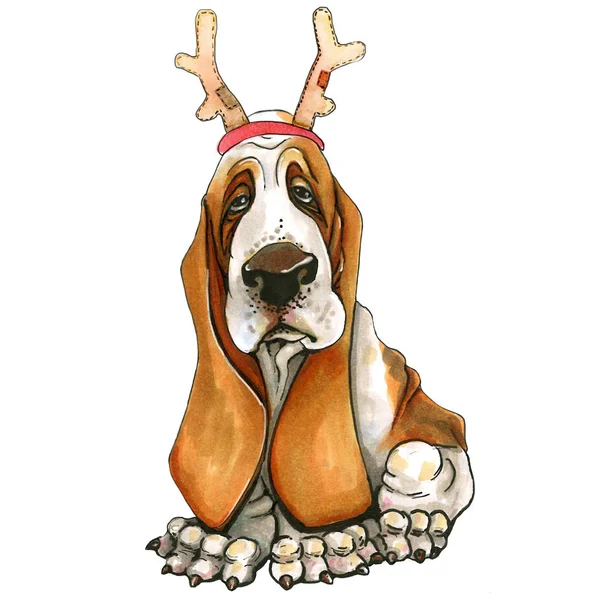 Ein Bassettenhund mit Weihnachtsmütze, Hirschhörnern. Niedlichen Weihnachtswelpen. Weihnachtsmann. — Stockfoto