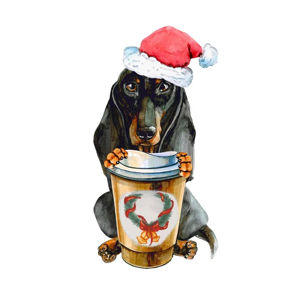 Perro salchicha en el sombrero de Navidad de Santa Claus, con una taza de café caliente. aislado sobre fondo blanco —  Fotos de Stock