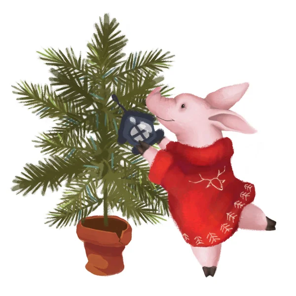 Un cerdo en un suéter viste un árbol de Navidad. Año Nuevo. Símbolo del año 2019. Aislado —  Fotos de Stock