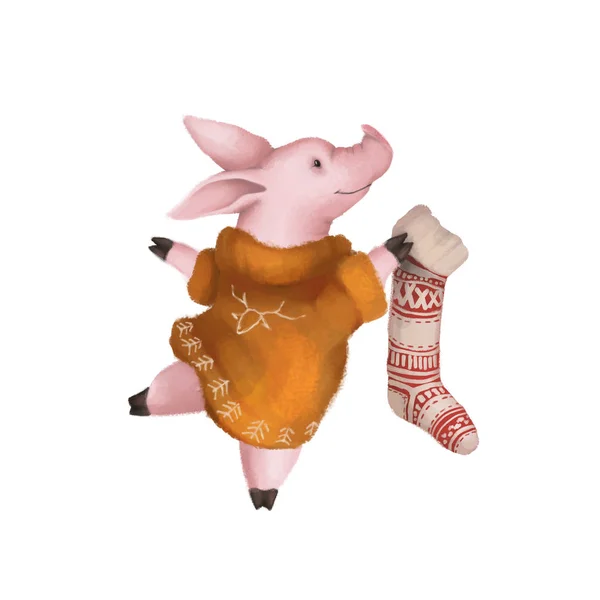Leuk varken in een gele trui een sok van Kerstmis te houden. Illustratie is geïsoleerd tegen de witte achtergrond. — Stockfoto