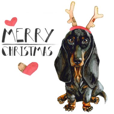 Köpek dachshund geyik boynuzları ile Noel kartı. Beyaz arka plan üzerinde izole. Yeni yıl. mutlu Noeller