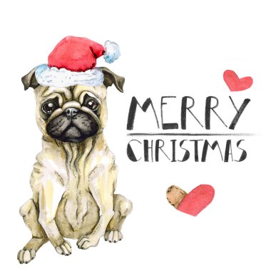Pug köpek santa claus şapka yeni yıl kutluyor. Noel köpek yavrusu. Beyaz arka plan üzerinde izole. sulu boya tebrik kartı