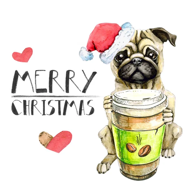 Un lindo perro de raza pug con una taza de café y sombrero. Tarjeta de felicitación. Aislado sobre fondo blanco . — Foto de Stock