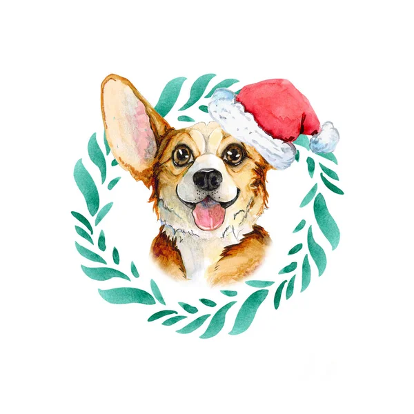 Corgi Noel Baba'ya yaprakları yapılmış yeşil çelenk içinde Noel şapka... Beyaz arka plan üzerinde izole suluboya köpek yavrusu. — Stok fotoğraf