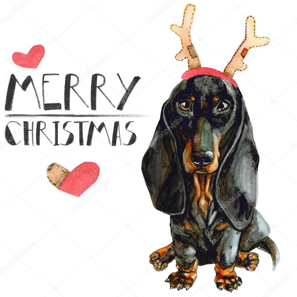 Christmas card with dog dachshund in deer horns. isolated on white background. New Year. merry christmas