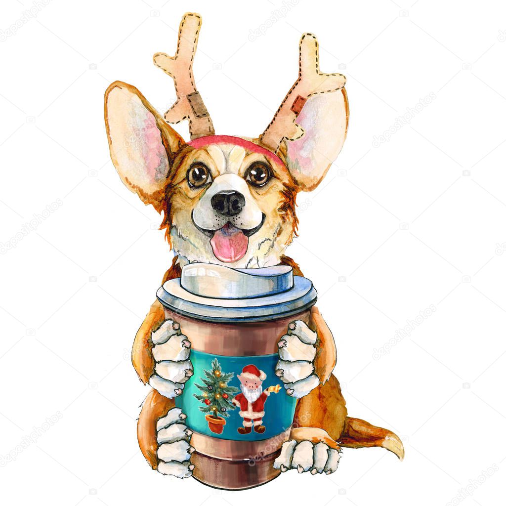 Corgi puppy in Santa Claus hat. Dog with coffee and deer horns. Isolated on white background. Christmas