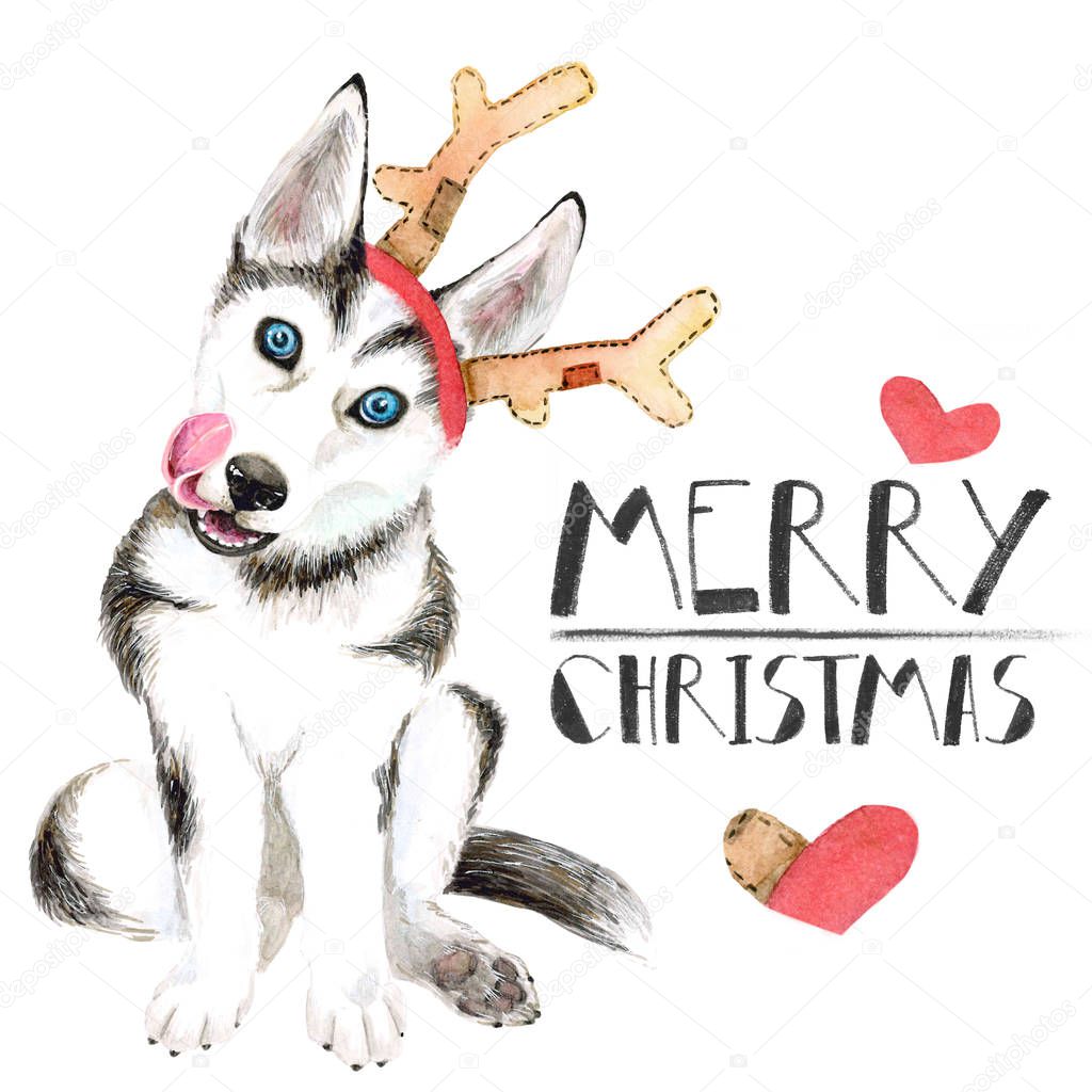 Husky puppy in Santa Claus hat. Dog in the horns of a deer. Isolated on white background. Christmas card.