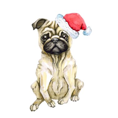 Pug köpek santa claus şapka yeni yıl kutluyor. Noel köpek yavrusu. Beyaz arka plan üzerinde izole.
