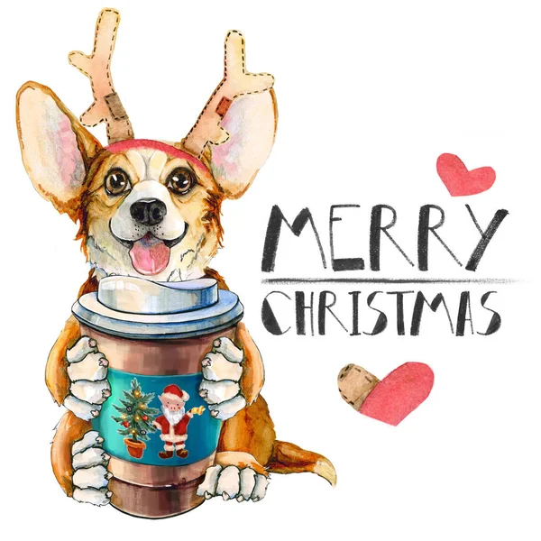 Cachorro Corgi Con Sombrero Santa Claus Perro Con Café Cuernos —  Fotos de Stock