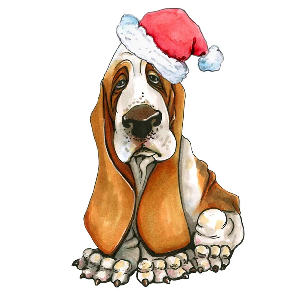 Perro Canalla Raza Basset Sombrero Navidad Lindo Cachorro Navidad Santa —  Fotos de Stock