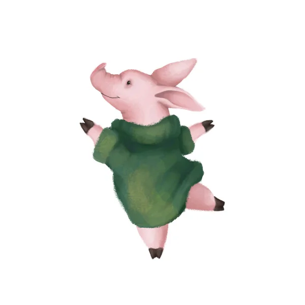 Милая розовая свинья в тёплом зелёном свитере. Изолированный на белом фоне. Символ 2019 — стоковое фото