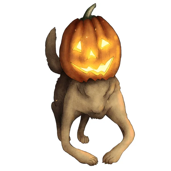 Šťastný Halloween. Děsivý pes s dýní na hlavě. — Stock fotografie