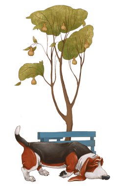 Basset av köpeği parkta yürüyor. Resimler beyaz arkaplanda izole edildi