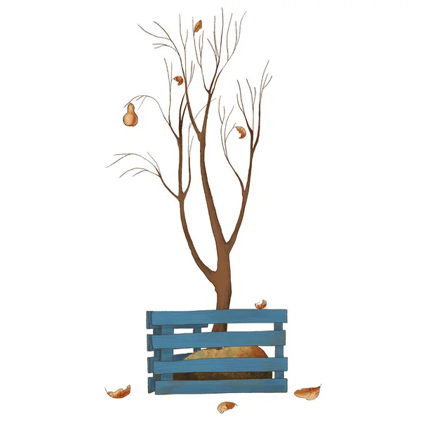 Bare herfstboom in een blauwe doos met planken. tekening op een witte achtergrond. bladval — Stockfoto