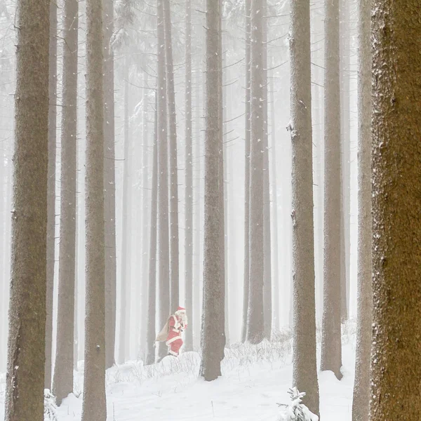 Hurried Santa Claus Running Fast Woods — Stock Photo, Image